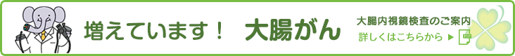 大腸内視鏡検査のご案内