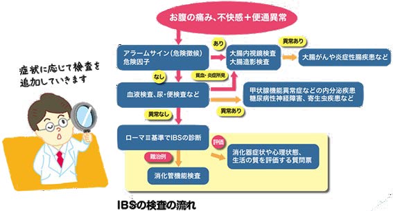 IBS検査の流れ