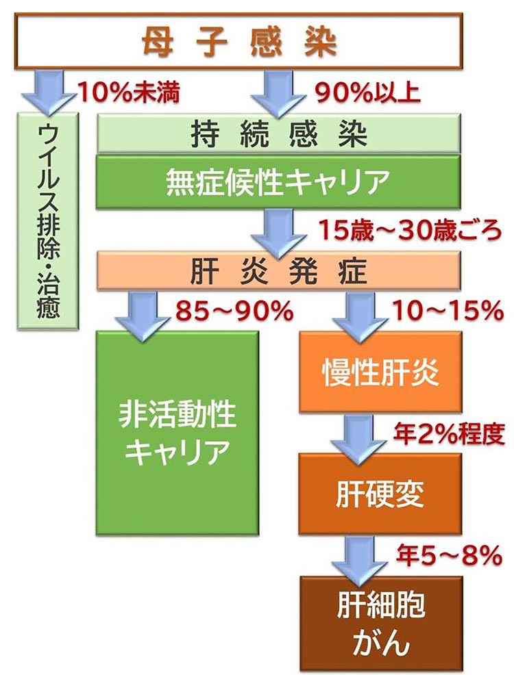 母子感染イメージ