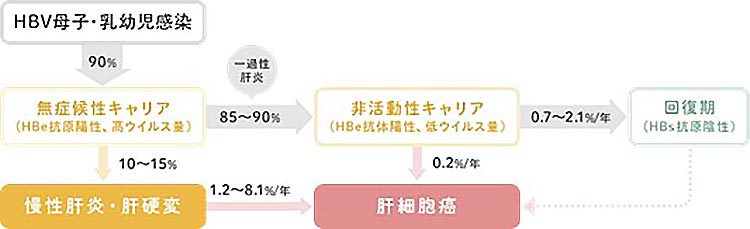 HBV母子感染イメージ