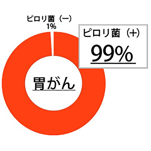 ピロリ菌感染割合